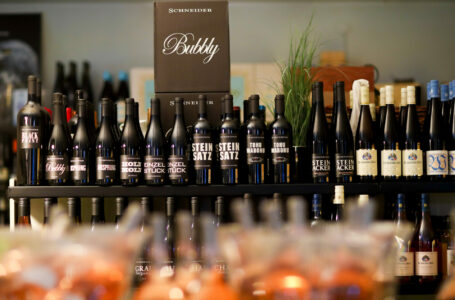 Symbolbild Weintasting: Weinflaschen