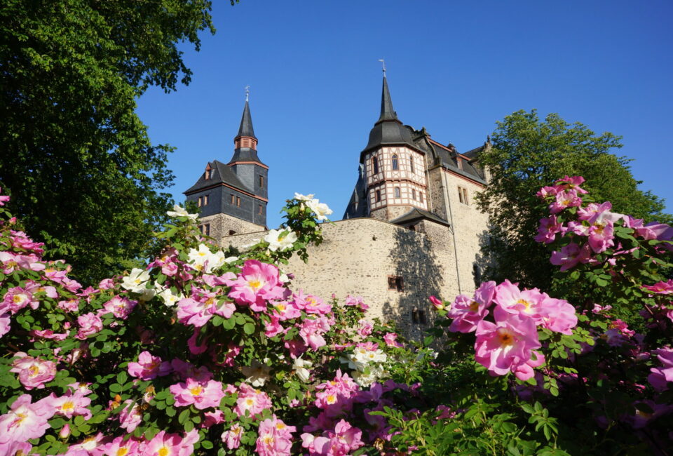 Schloss Romrod mit Blumen